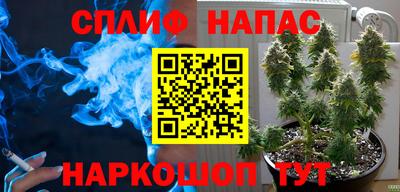 ешки Краснодар