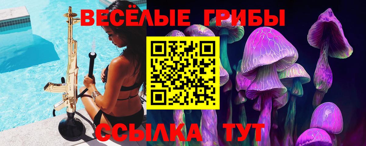 Псилоцибиновые грибы Cubensis  Галлюциногенные грибы MAGIC MUSHROOMS  Петровск  Вход с VPN 